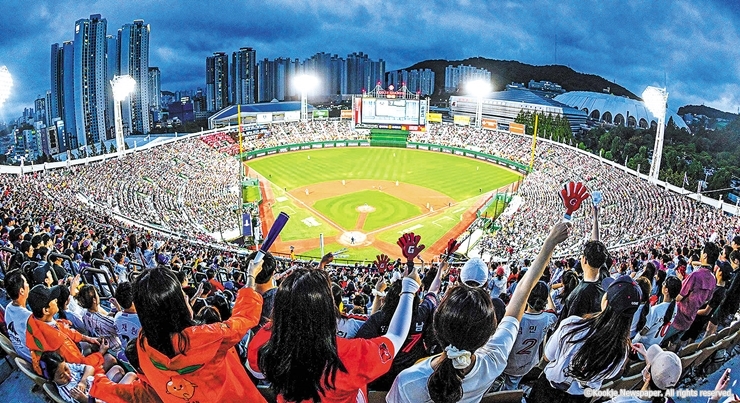 3-1-2 대체 사진(가로로 긴 사진 대체)_국제신문_cw12